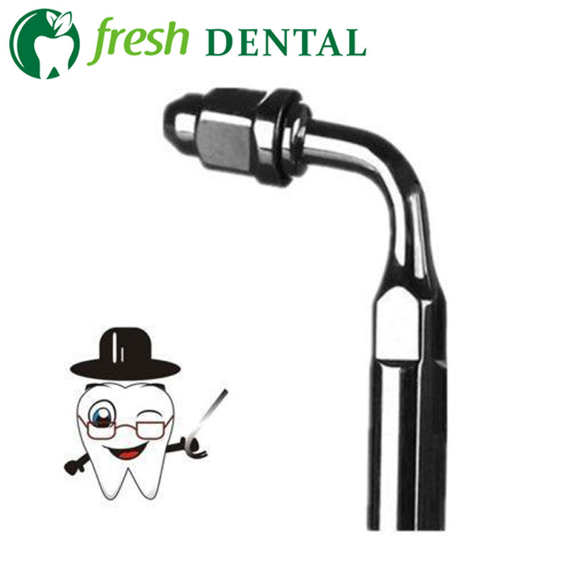 หัวขูดหินปูนอัลตราโซนิก E2 10  - Dental Ultrasonic Scaler บทวิจารณ์และราคา