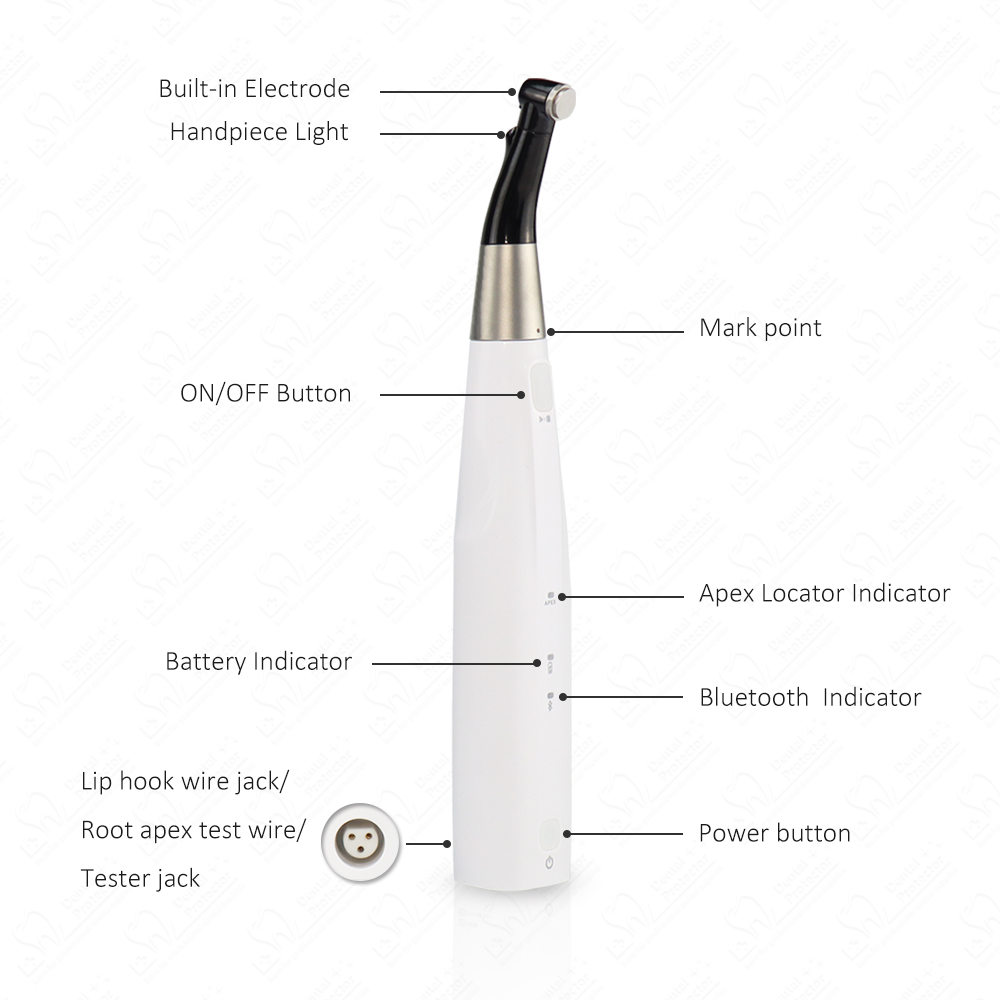 COXO ไร้สาย เอนโดมอเตอร์ เครื่ - Dental Endo Motor Apex Locator บทวิจารณ์และราคา