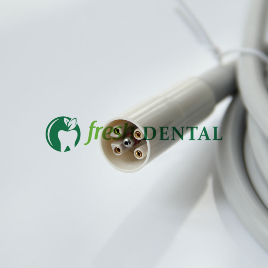ด้ามจับเครื่องขูดหินปูนด้วยคลื - Dental Ultrasonic Scaler บทวิจารณ์และราคา