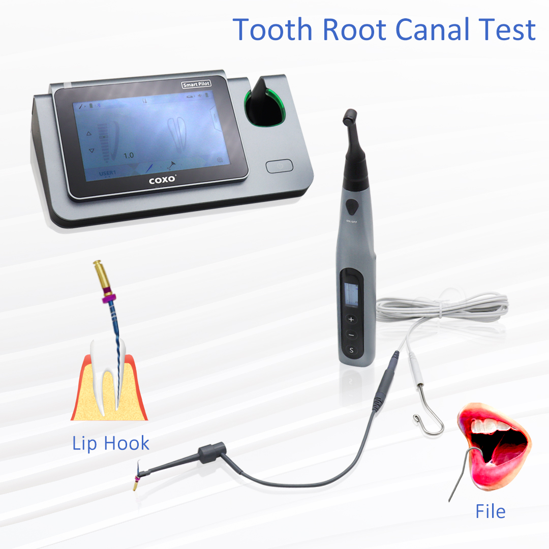 COXO Smart Endo Motor C-SMART  - Dental Endo Motor Apex Locator บทวิจารณ์และราคา